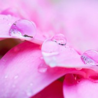 Lubricación femenina